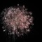BAXTER PARK FIREWORKS / 05 NOV 2013